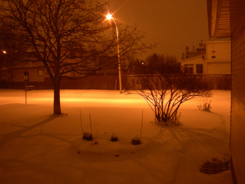 雪夜 摄影 日光之下