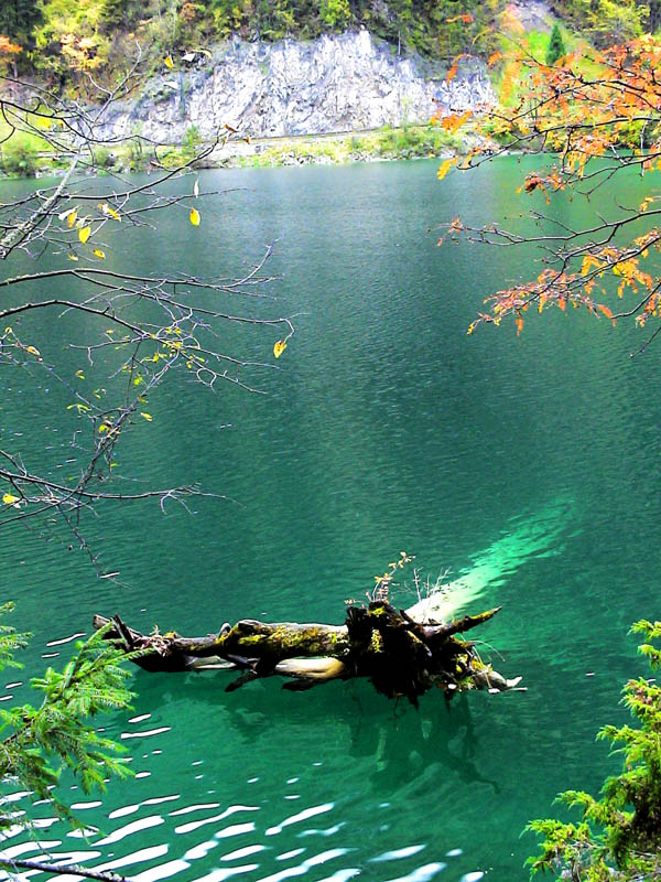 九寨秋景(4) 摄影 石山人