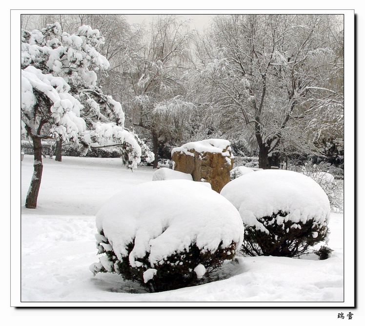 冬雪 摄影 岁月无痕