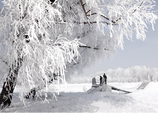 赏雪 摄影 雨虹