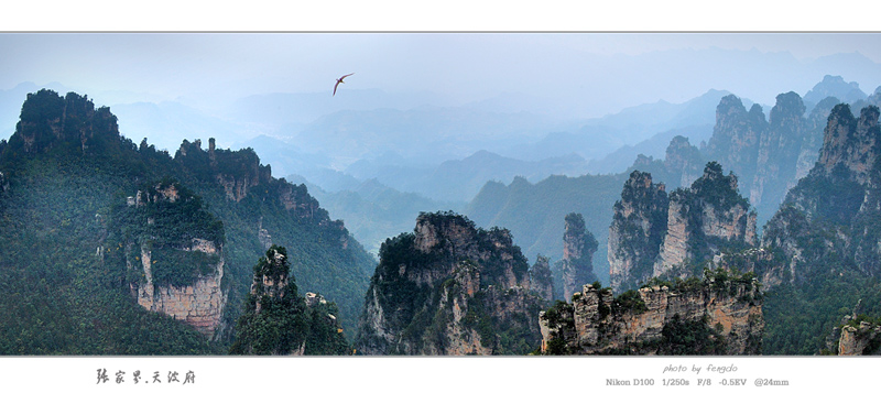 张家界天波府全景 摄影 锋铎