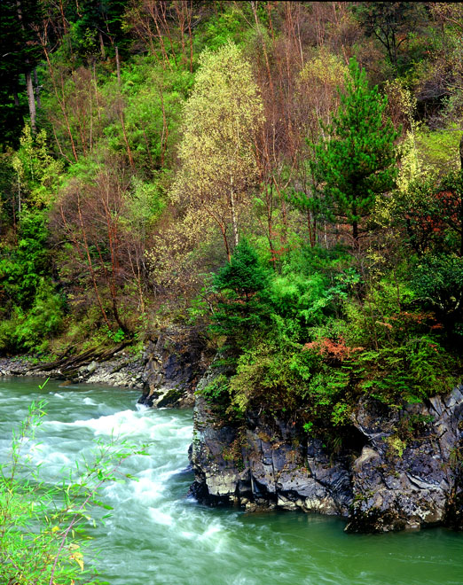 崖上秋景 摄影 川哥120135