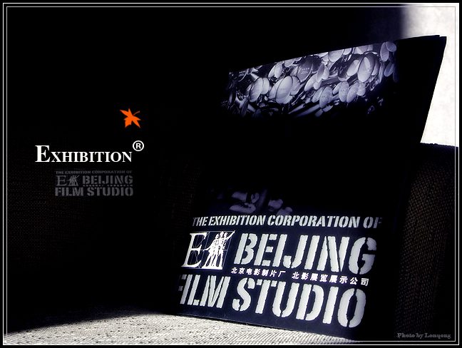 EXHIBIION  --- 展示 摄影 linqong