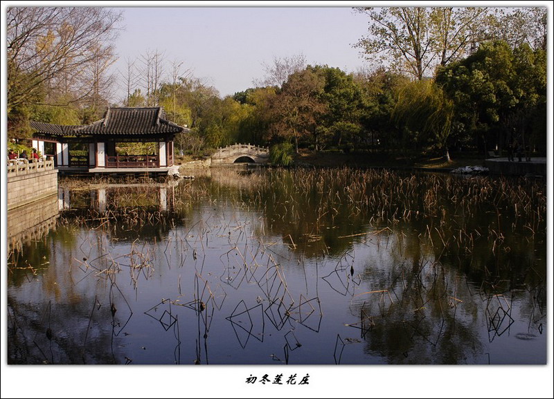 初冬园景 摄影 利泽