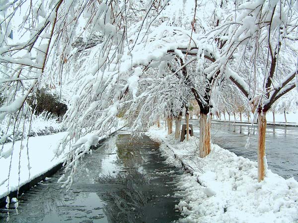 冬雪 摄影 江河源