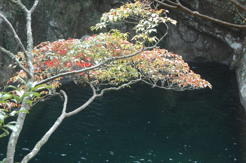 山谷小景 摄影 老王