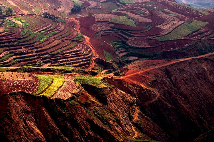 锦绣大地 摄影 zhaojiayin