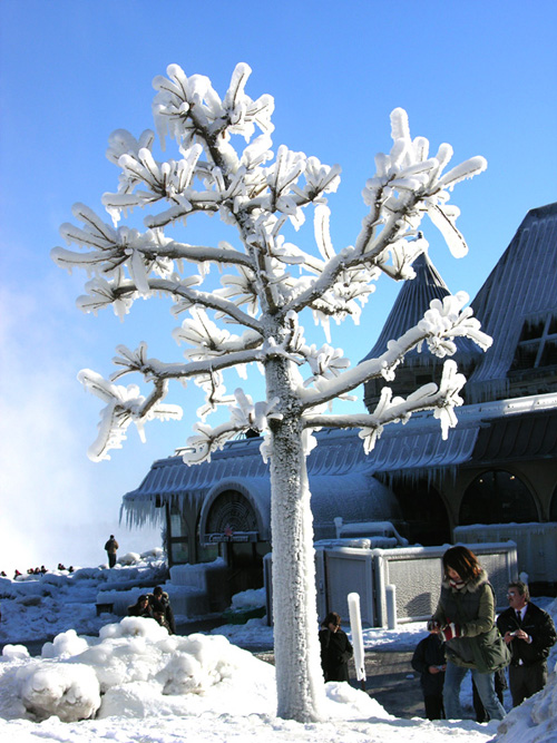 雪景 摄影 拓荒者