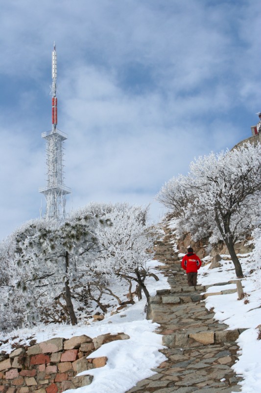 泰山雪景4 摄影 不后悔