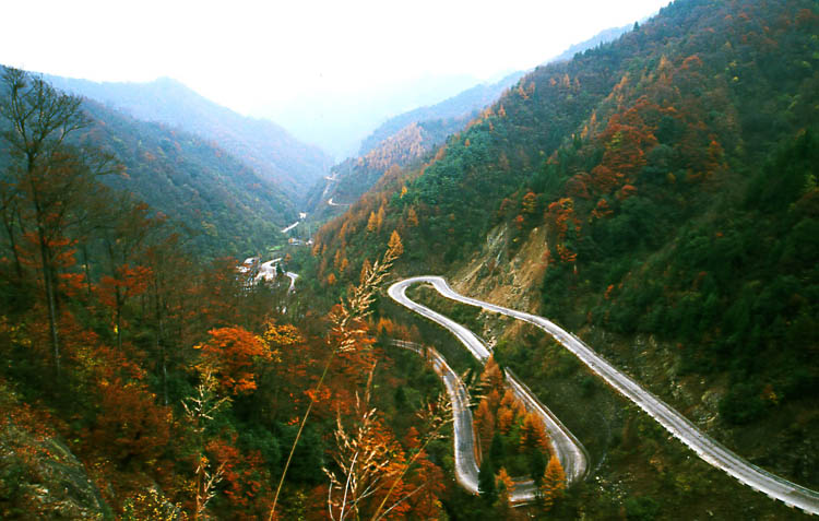 赏秋之路 摄影 山城老山羊