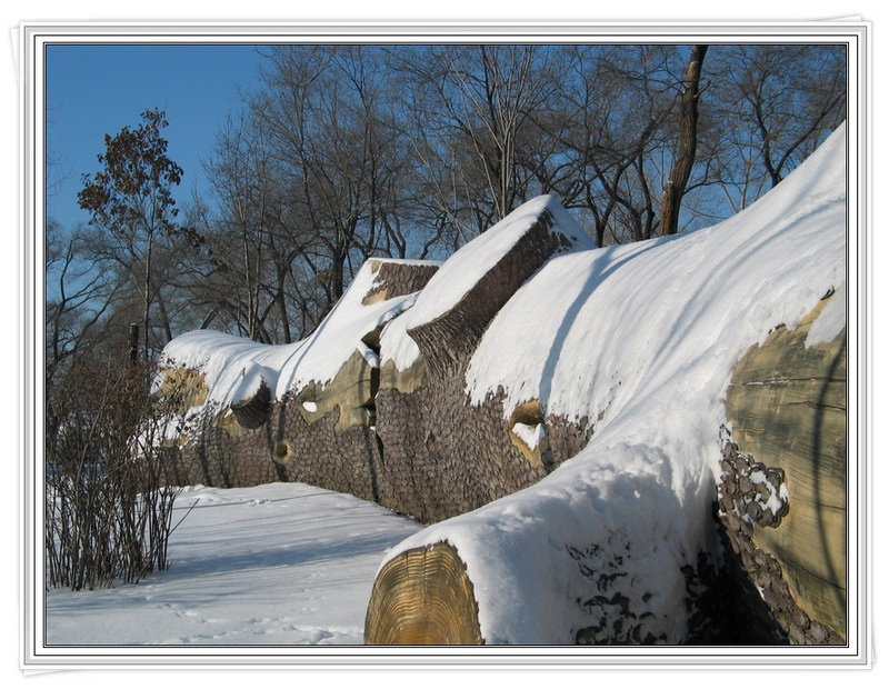 雪景-8 摄影 习影人