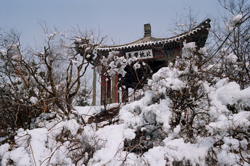 南山积雪 摄影 林影