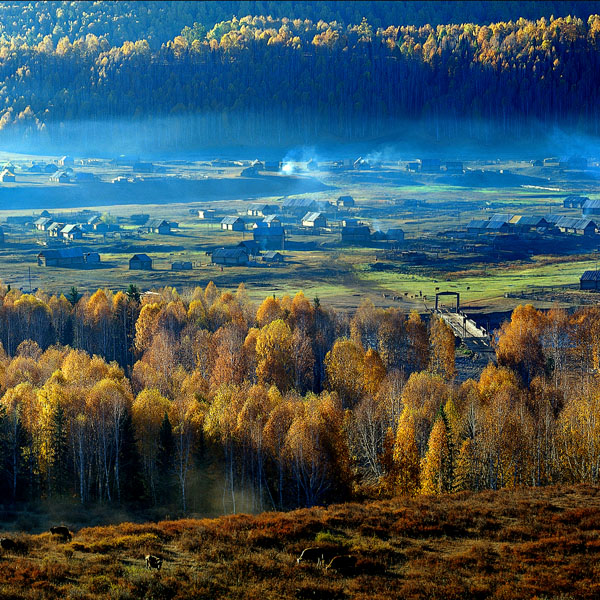 禾木乡秋景 摄影 chenchaojing