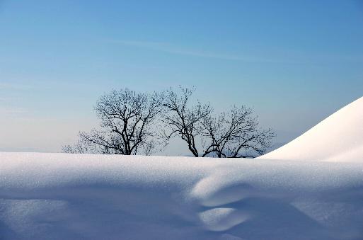 家乡雪 摄影 黄毛