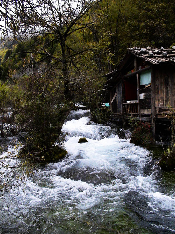 九寨秋景--水 摄影 石山人