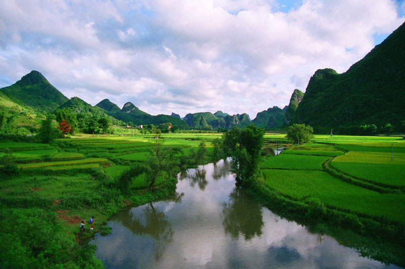 壮乡小景 摄影 飞鹰