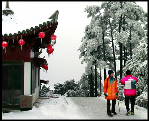 瑞雪　 摄影 三羊