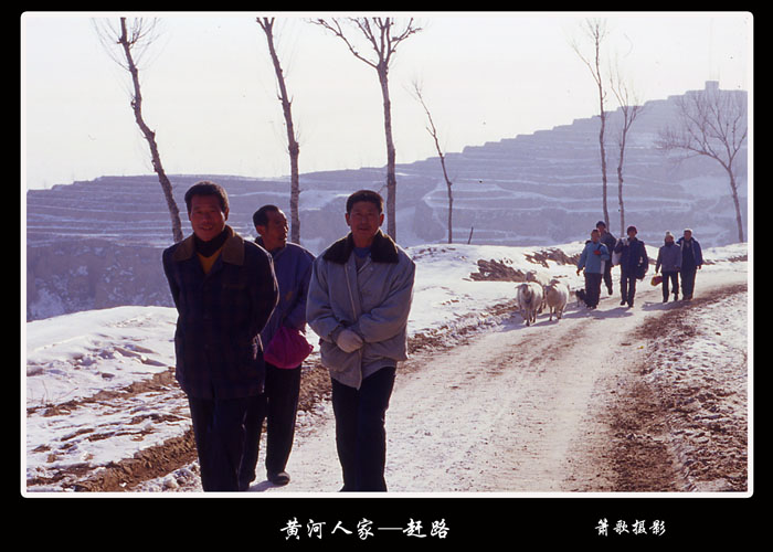 黄河人家 摄影 箫歌