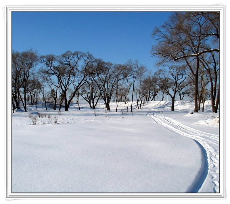 雪景-11 摄影 习影人