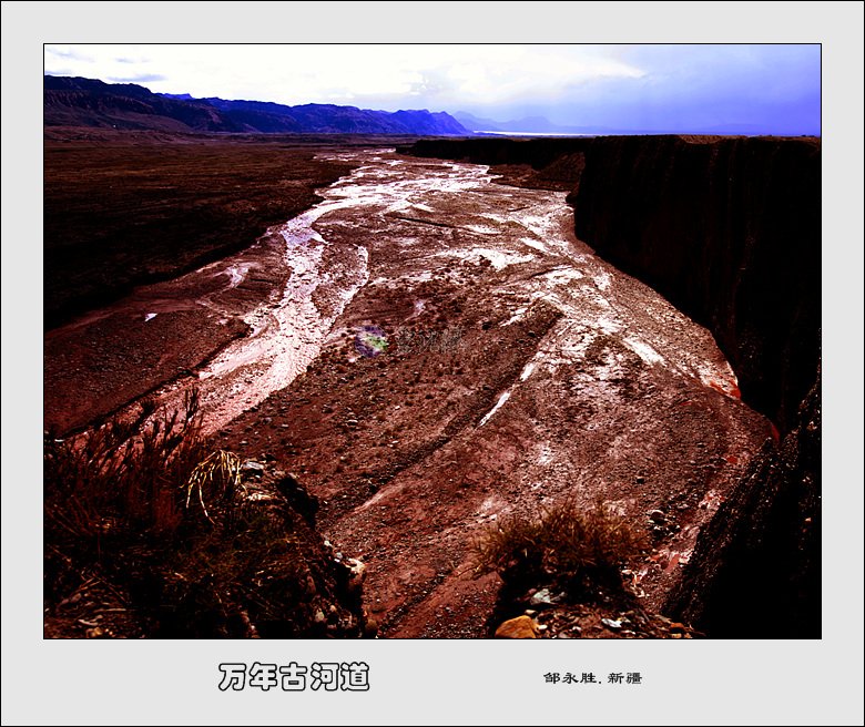 古河道 摄影 东北虎