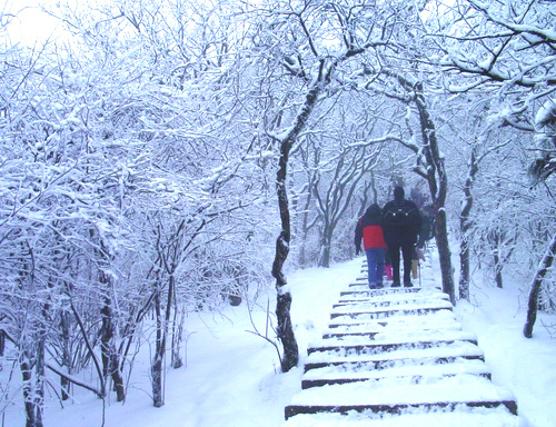 冰雪世界 摄影 三羊