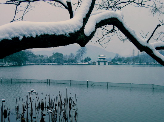 瑞雪 摄影 quhong