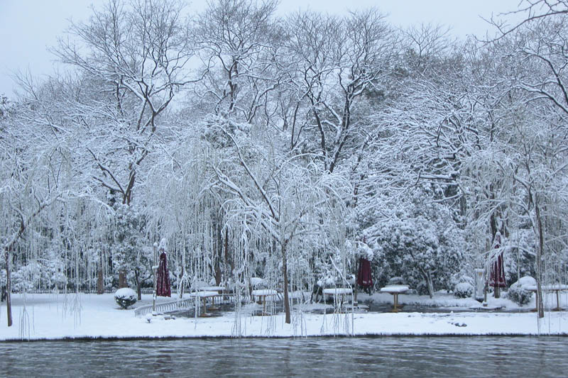 江南雪（2） 摄影 牛张