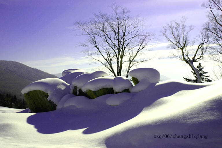 06年第一场雪 摄影 黄毛