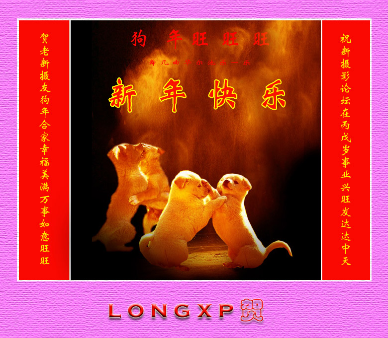 新春快乐 摄影 longxp