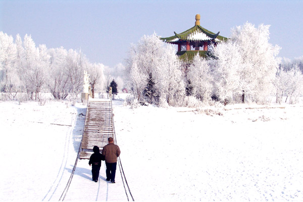 瑞雪兆丰年.祝各位摄友新春快乐,万事如意. 摄影 雨虹