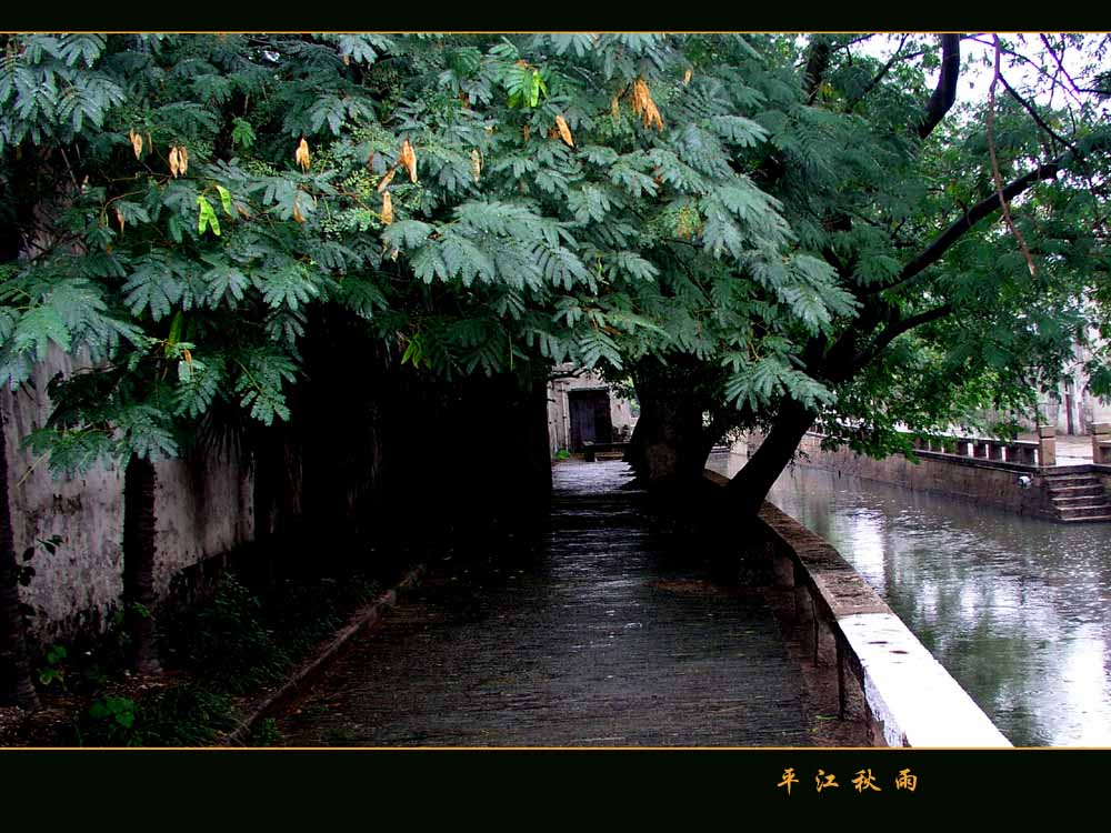 平江秋雨 摄影 苏小舟