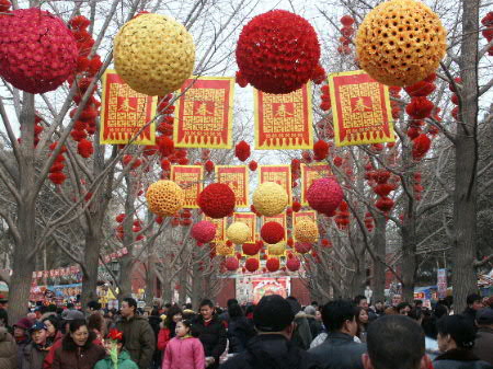 欢腾的节日 摄影 qingyu