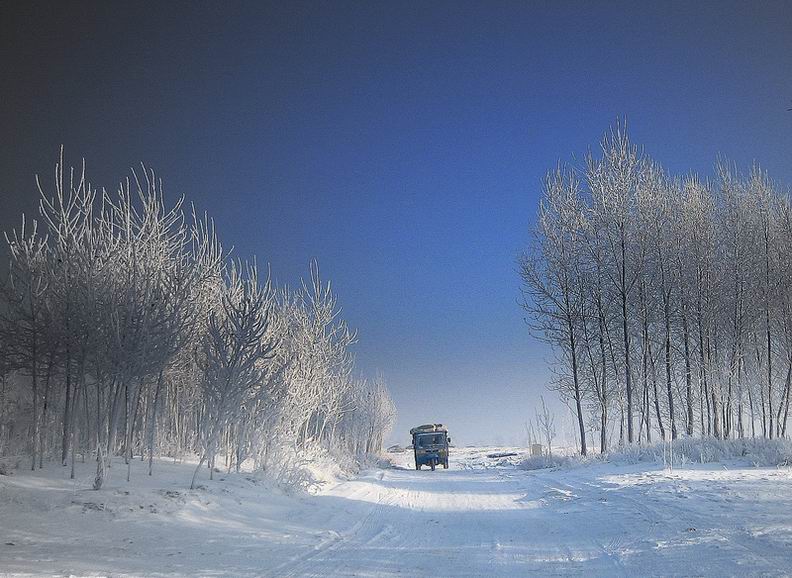 雪地独行车 摄影 青藤书屋