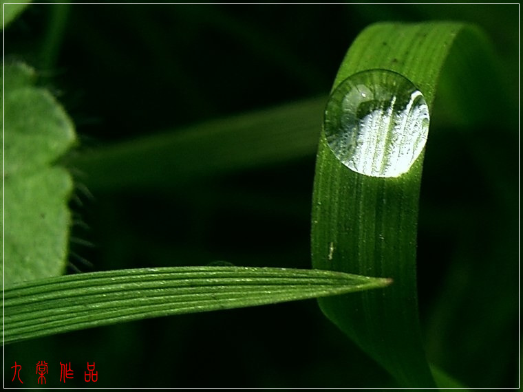 钻戒 摄影 王九棠