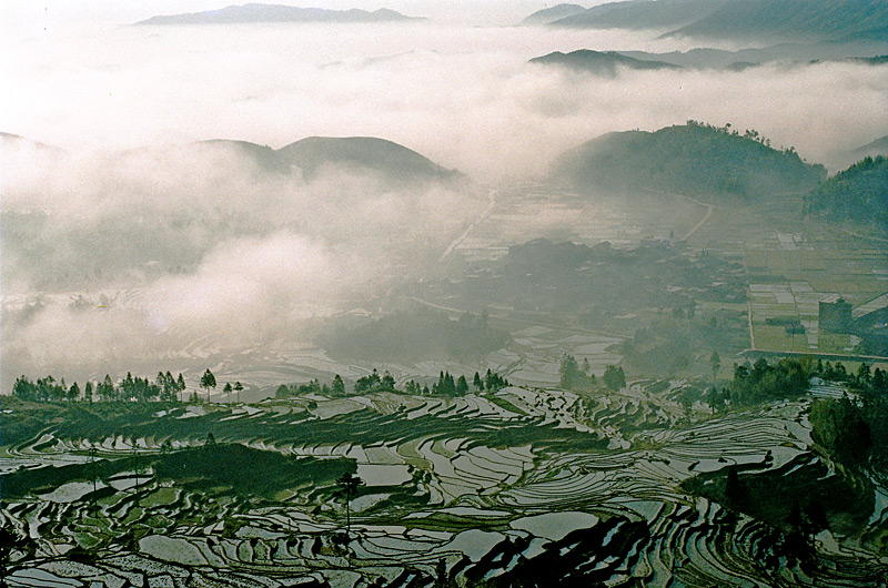 山村春早 摄影 不必烦恼