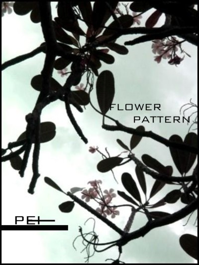 FLOWER PATTERN [ 3 ] 摄影 peiwen00