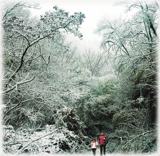 2006年的第一场雪（南京紫金山） 摄影 太迟散人