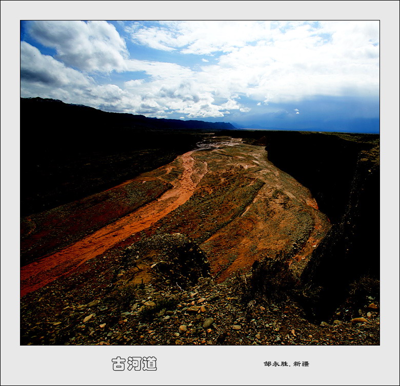 古河道 摄影 东北虎