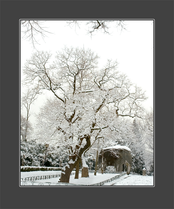 雪景小作（3） 摄影 nj流风