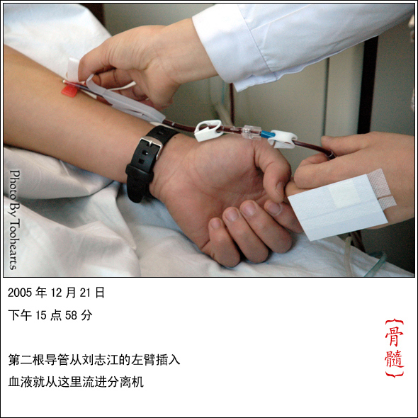 《骨髓》-035 摄影 toohearts