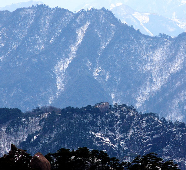 《冬韵》 摄影 峻峭