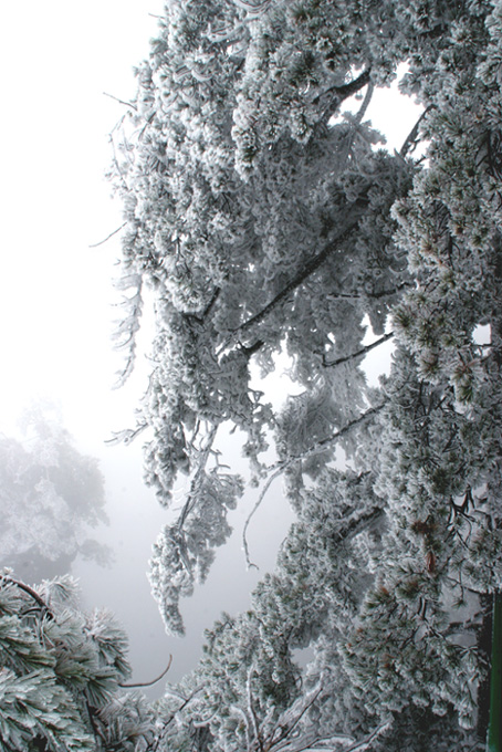 张家界雪景 摄影 风雅堂