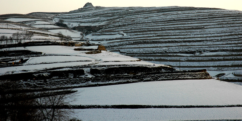 雪落陇原2 摄影 weixianghua