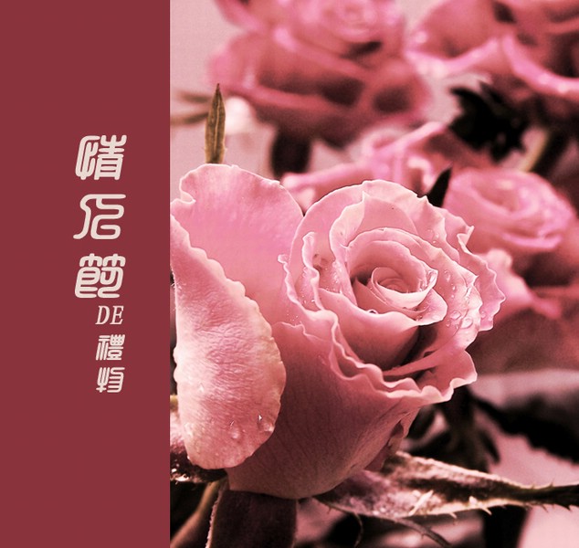 情人节的礼物 摄影 雨中过客