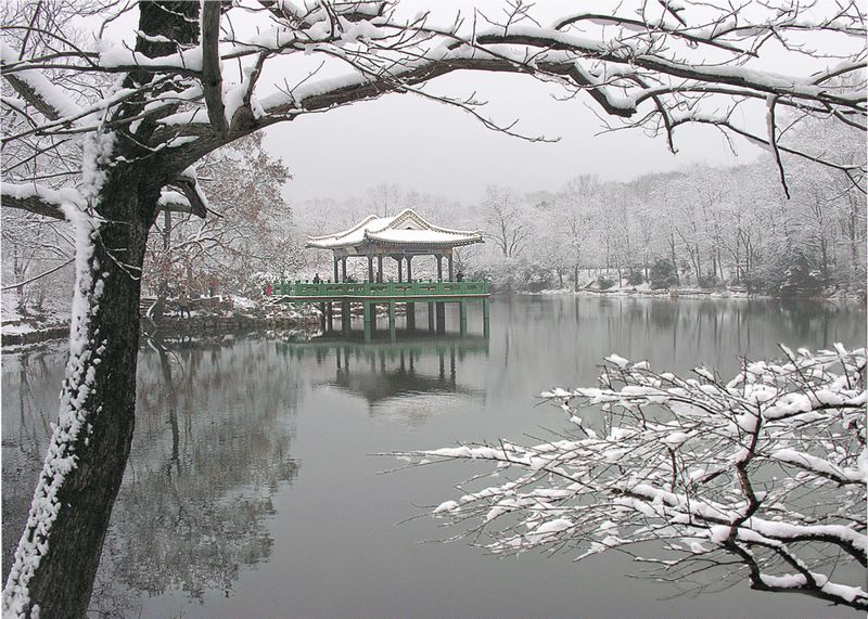 水榭 摄影 兰花朵朵