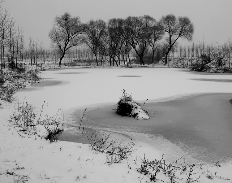 06年春·雪 摄影 来无影