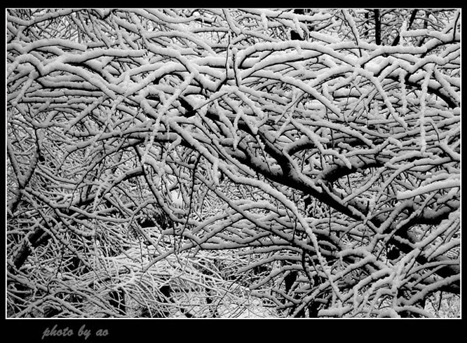 雪.忆江南 摄影 阿原