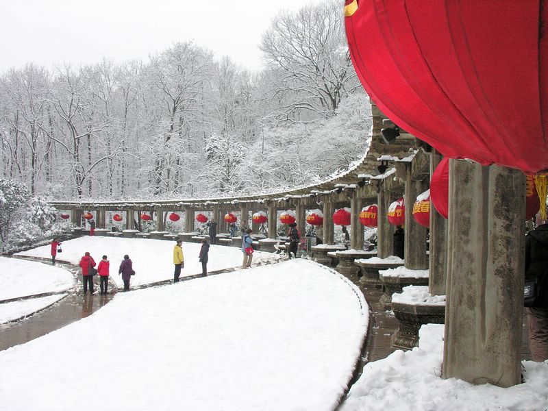 雪景 摄影 兰花朵朵