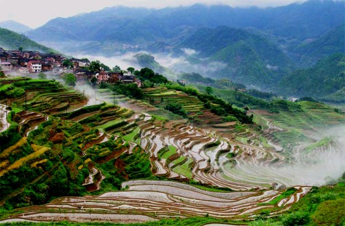 美丽家园 摄影 南山小草