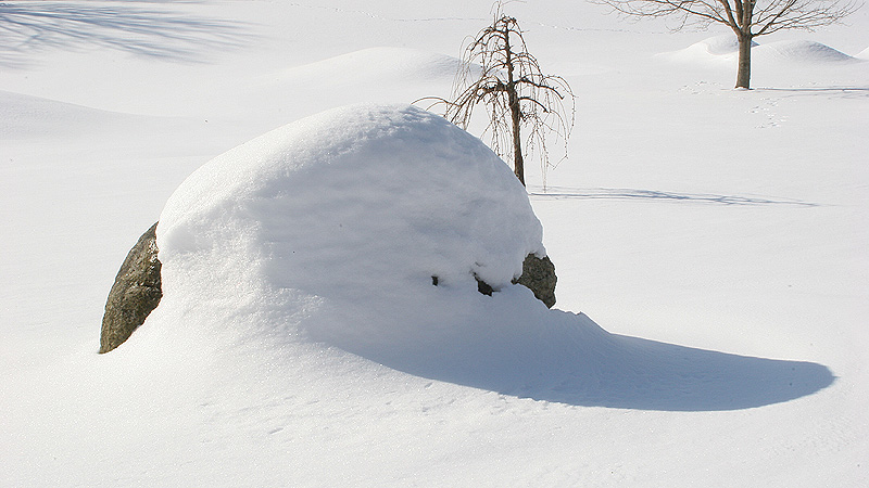 雪影美白之二 摄影 kuangkee